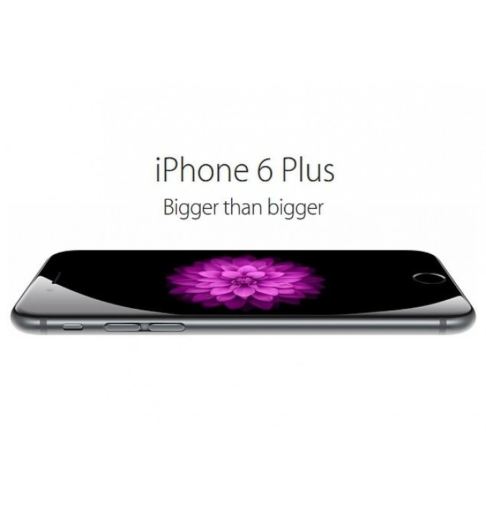 iPHONE6 PLUS 64GB GREY(modified)- Display Technology: IPS retina